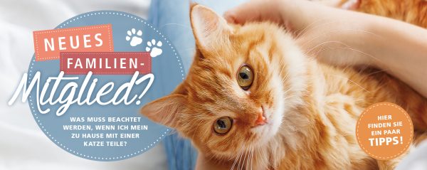 2018_07_Katzen-ABC_eine-Katze-zieht-ein_Webbanner-880x350px