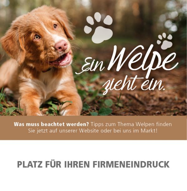 2018_10_Ein-Welpe-zieht-ein_Anzeige_92x94mm