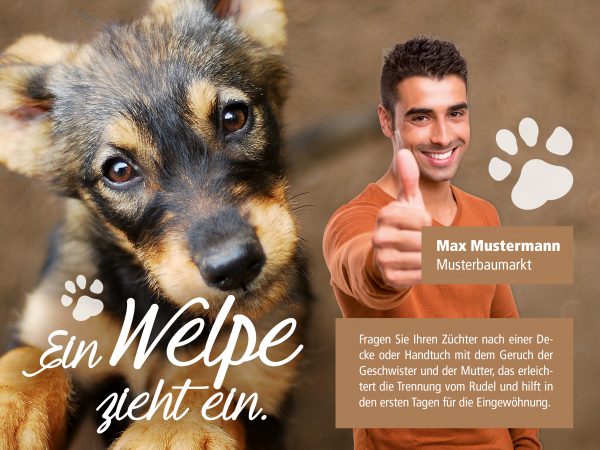 2018_10_Ein-Welpe-zieht-ein_Facebook_3_1200x900px