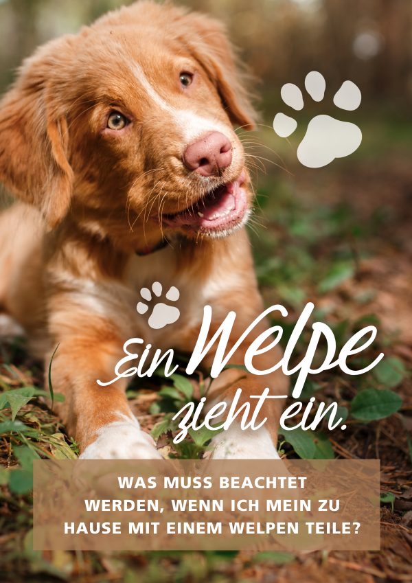 2018_10_Ein-Welpe-zieht-ein_Plakat_A1