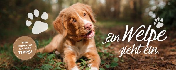 2018_10_Ein-Welpe-zieht-ein_Webbanner-880x350px