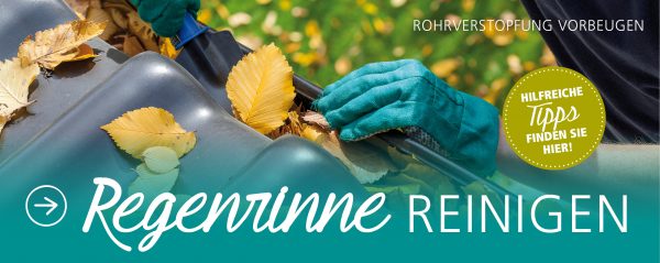 2018_10_Regenrinne-reinigen_Webbanner_880x350px