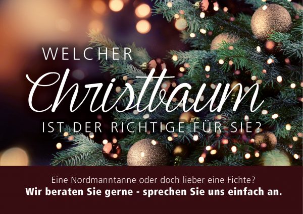 2018_12_Christbaum-ABC_Banner_212x150cm