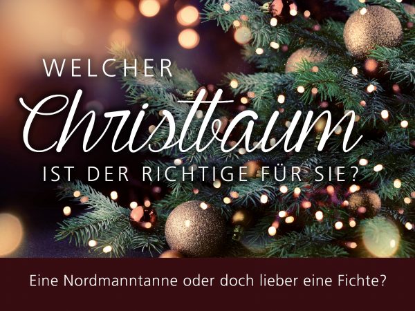 2018_12_Christbaum-ABC_Facebook_1_1200x900px