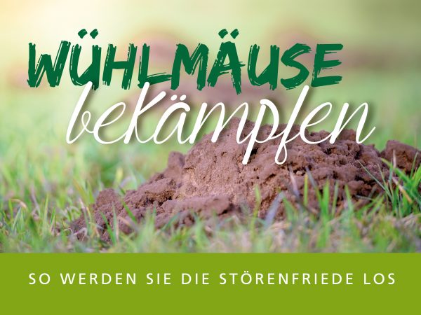 2019_02_Wühlmäuse-bekämpfen_Facebook_1_1200x900px