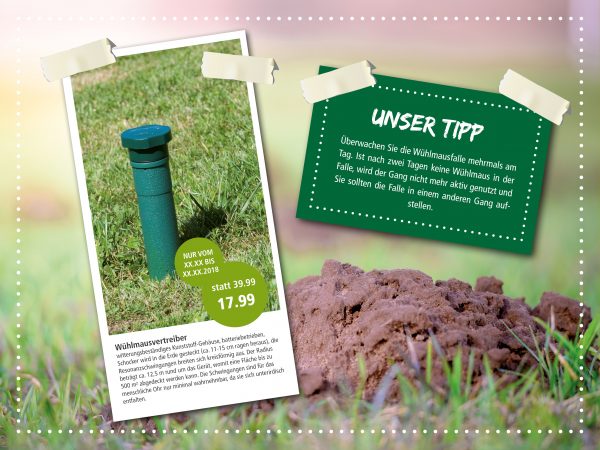 2019_02_Wühlmäuse-bekämpfen_Facebook_3_1200x900px