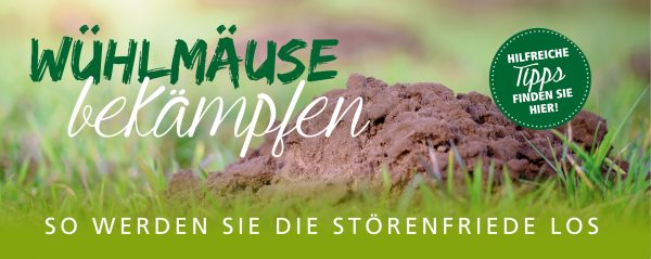 2019_02_Wühlmäuse-bekämpfen_Webbanner_880x350px
