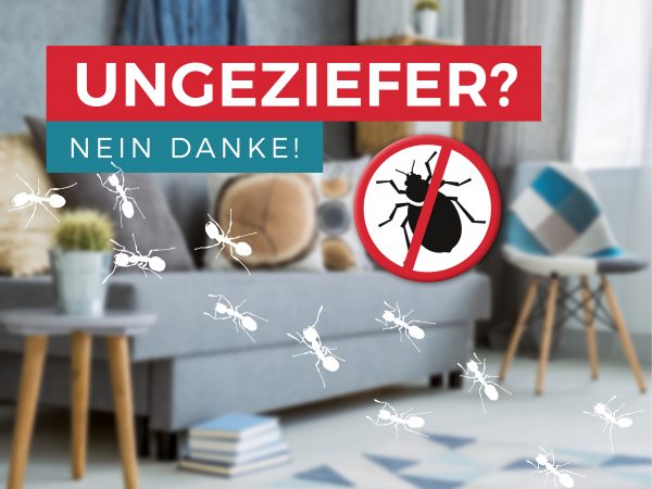 2019_06_Ungeziefer-bekämpfen_Facebook_1_1200x900px