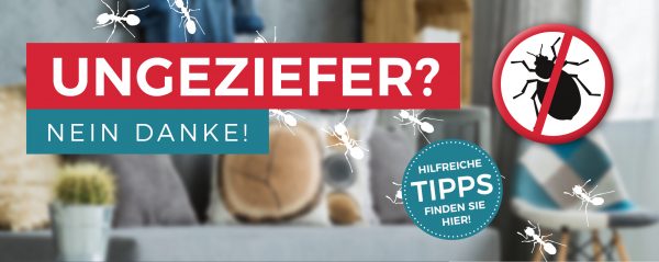 2019_06_Ungeziefer-bekämpfen_Webbanner_880x350px