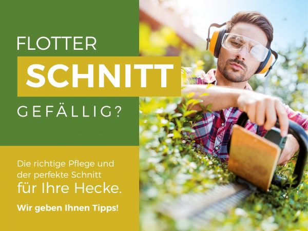 2019_07_Hecken-schneiden_Facebook_1_1200x900px