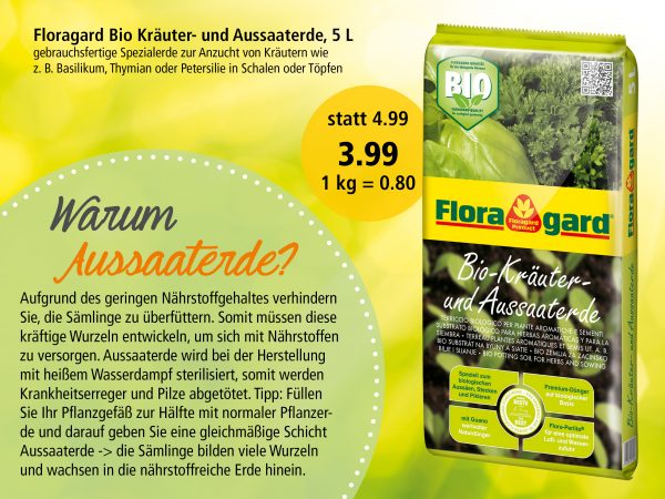 Aussaat_Facebook_3_1200x900px