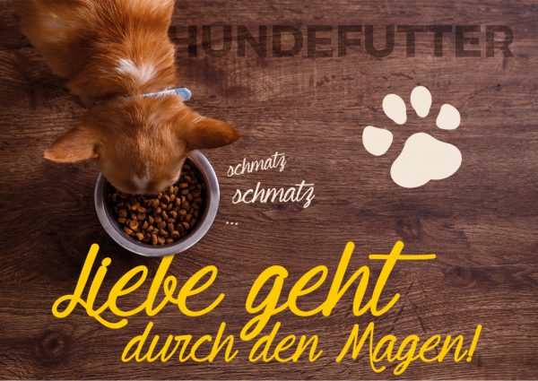 Hund – Nass- oder Trockenfutter_Banner_212x150cm