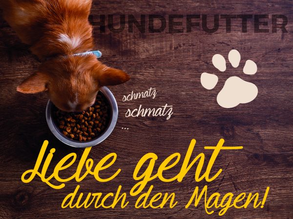 Hund – Nass- oder Trockenfutter_Facebook_1_1200x900px