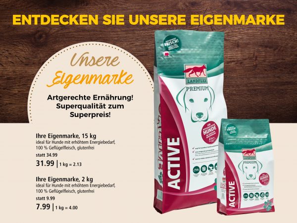 Hund – Nass- oder Trockenfutter_Facebook_3_1200x900px