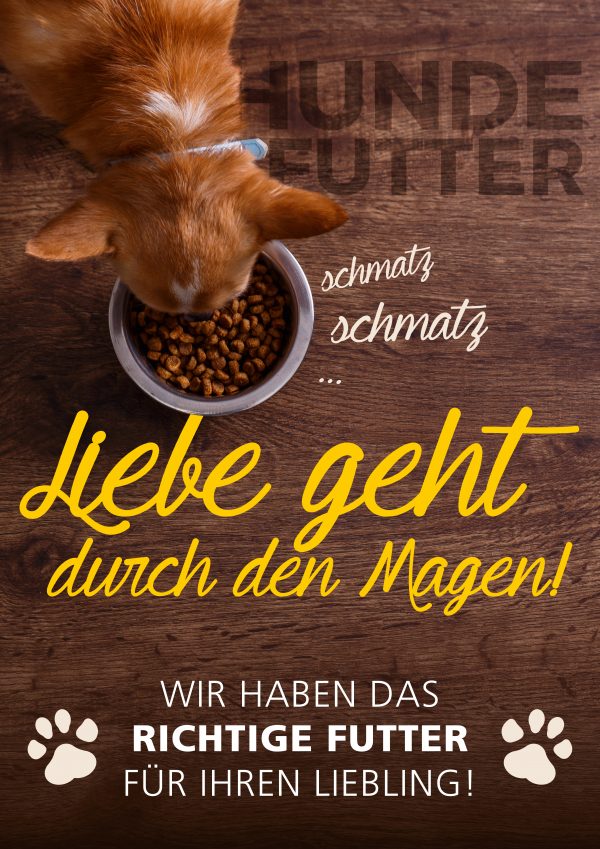 Hund – Nass- oder Trockenfutter_Plakat A1