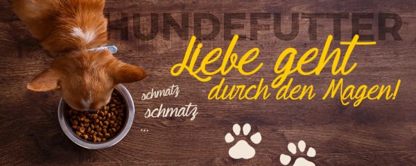 Hund – Nass- oder Trockenfutter_Web-Banner_880x350px