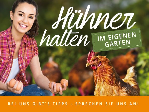 Hühner-halten-Banner