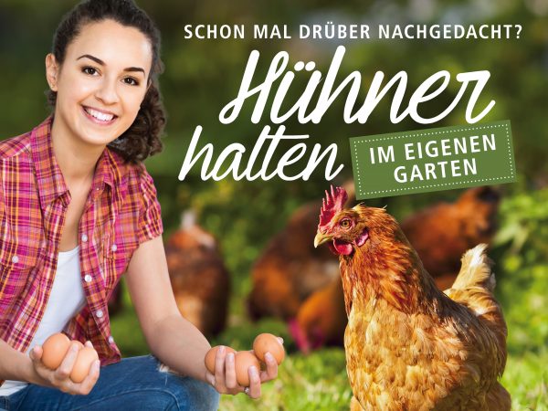 Hühner-halten_Facebook-Post_1