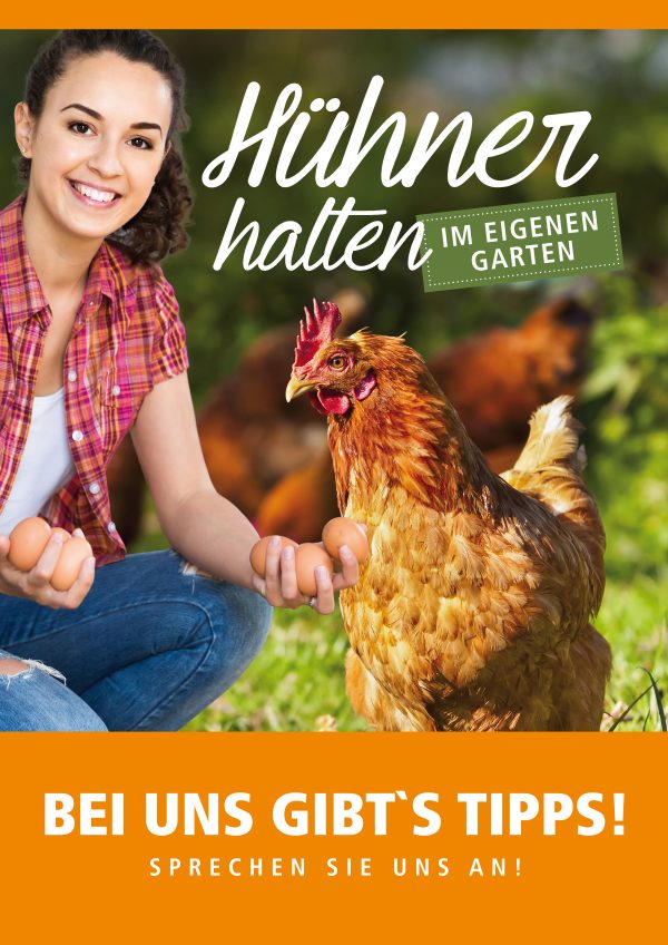 Hühner-halten_Plakat