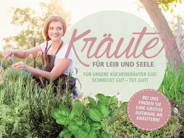 Küchenkräuter-Banner