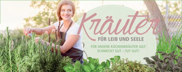 Küchenkräuter-Webbanner