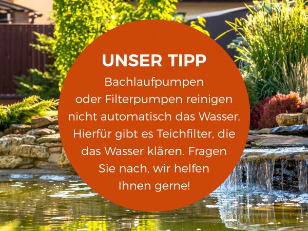 MW_201906_010072_Facebook_3_1200x900px