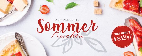 MW_201908_020071_Web-Banner_880x350px