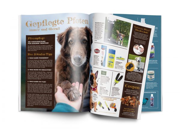 MW_202002_030004_Pfotenpflege