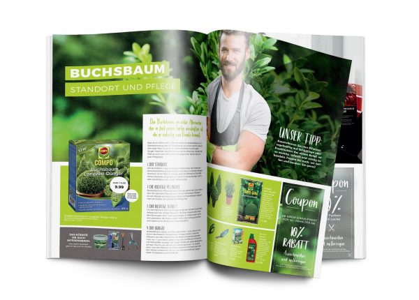 Mockup_MW_201905_010065_Buchsbaum – Standort und Pflege