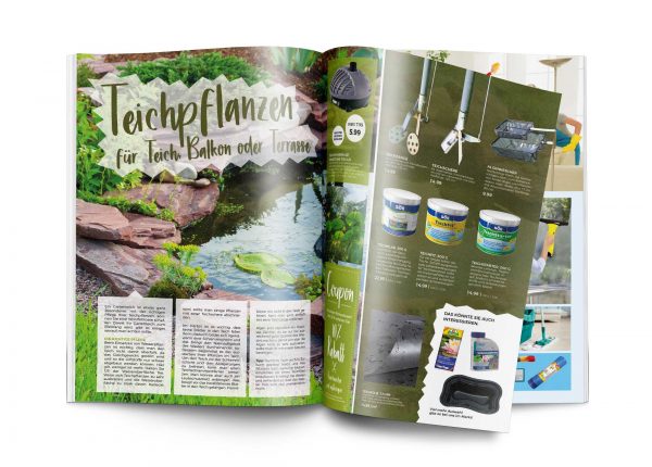 Mockup_MW_201906_010075_Teichpflanzenpflege