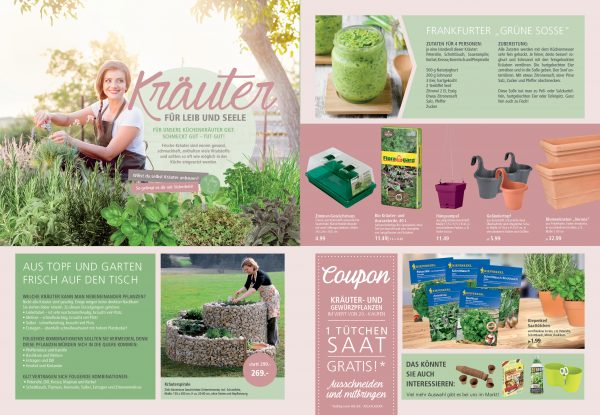 Themenseite_Küchenkräuter