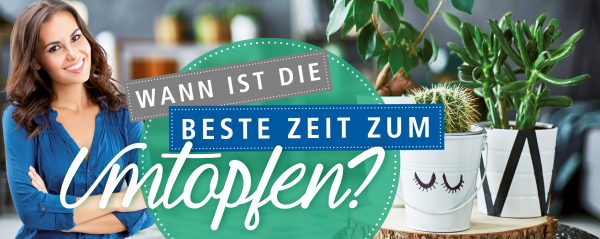 Umtopfen_Webbanner