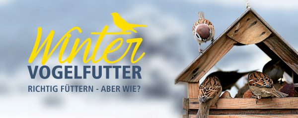 Wildvogelfutter_Webbanner-880x350px