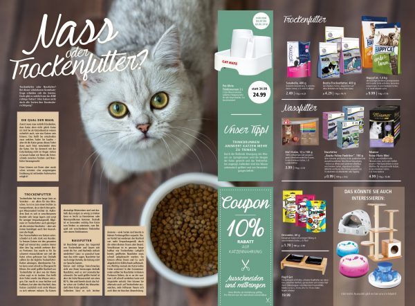 030017_2018_11_Katze – Nass oder Trockenfutter