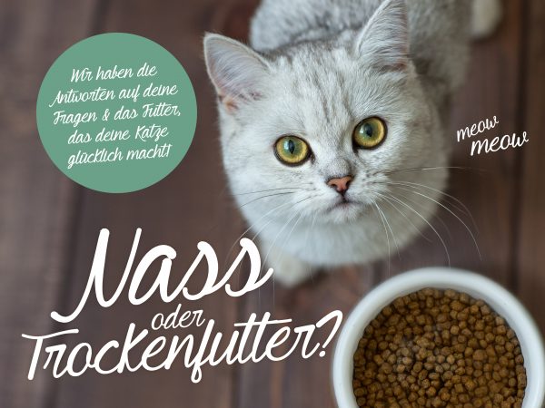 030017_2018_11_Katze – Nass oder Trockenfutter_Facebook_1_1200x900px