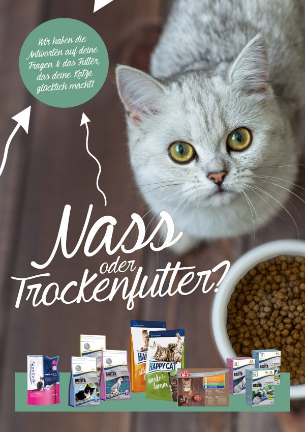 030017_2018_11_Katze – Nass oder Trockenfutter_Plakat A1