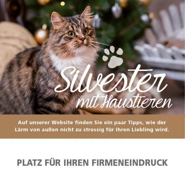 2018_12_Haustiere-an-Silvester_Anzeige_92x94mm