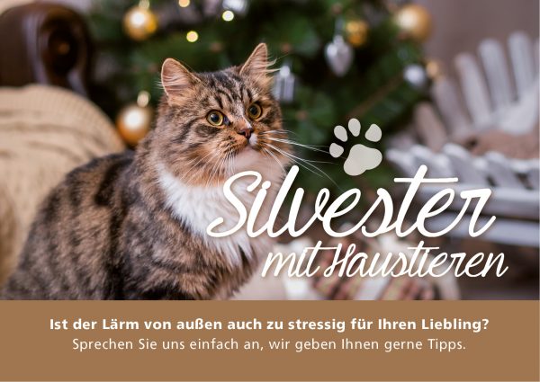 2018_12_Haustiere-an-Silvester_Banner_212x150cm