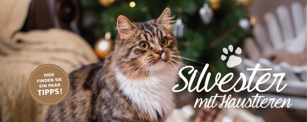 2018_12_Haustiere-an-Silvester_Webbanner-880x350px