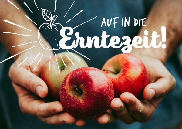 2019_09_Alles-um-die-Apfelernte_Banner_212x150cm