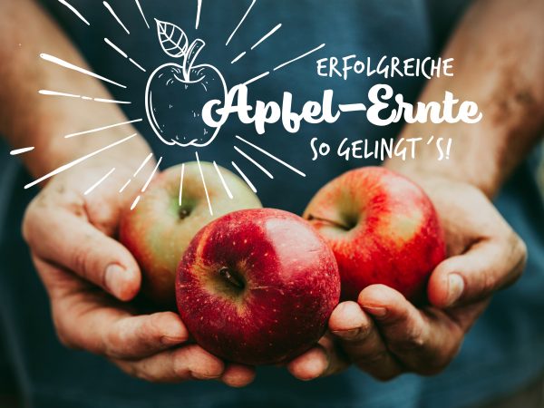 2019_09_Alles-um-die-Apfelernte_Facebook_1_1200x900px