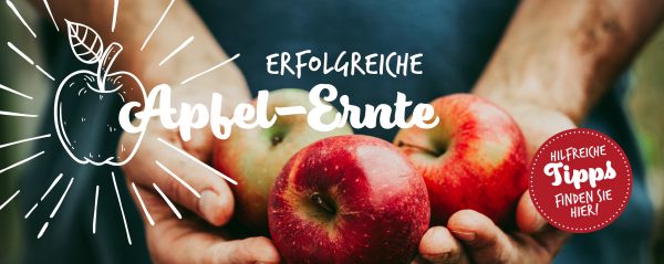 2019_09_Alles-um-die-Apfelernte_Webbanner_880x350px