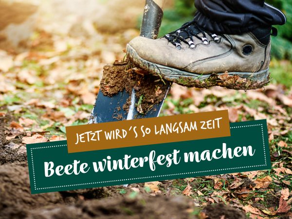 2019_10_Beete-winterfest-machen_Facebook_1_1200x900px