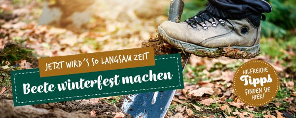 2019_10_Beete-winterfest-machen_Webbanner_880x350px