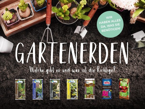 MW_201909_010062_Facebook_1_1200x900px