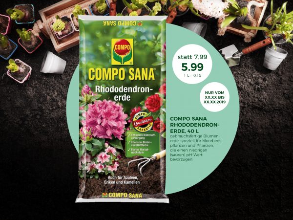 MW_201909_010062_Facebook_3_1200x900px