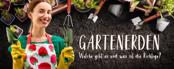 MW_201909_010062_Web-Banner_880x350px