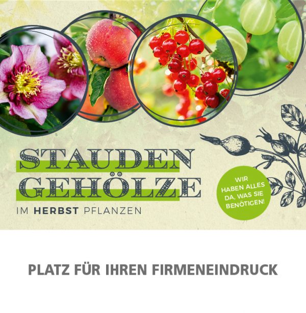 MW_201909_010082_Anzeige_92x94mm