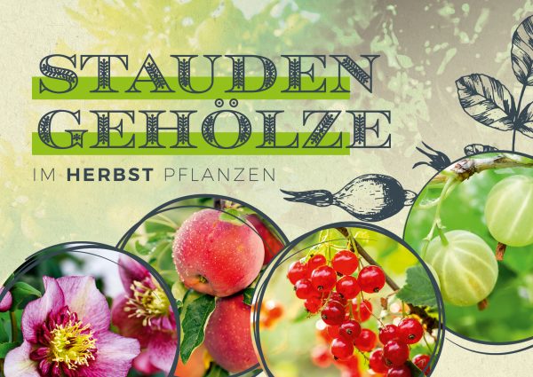 MW_201909_010082_Banner_212x150cm