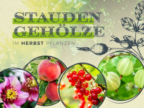 MW_201909_010082_Facebook_1_1200x900px